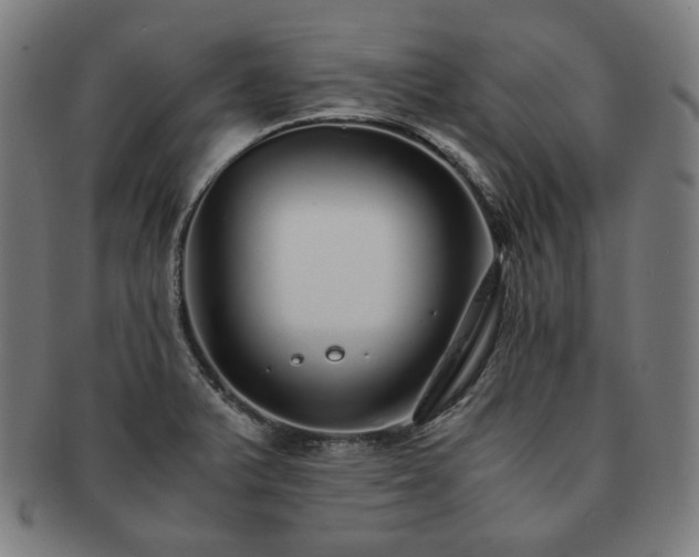 X0000091451375200708231246