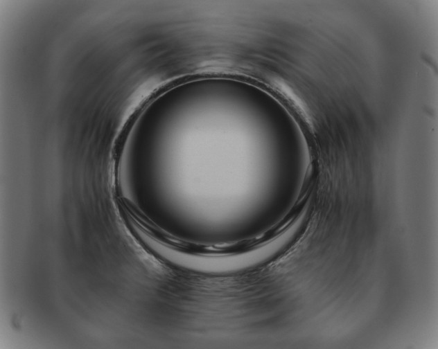 X0000091451376200708231246
