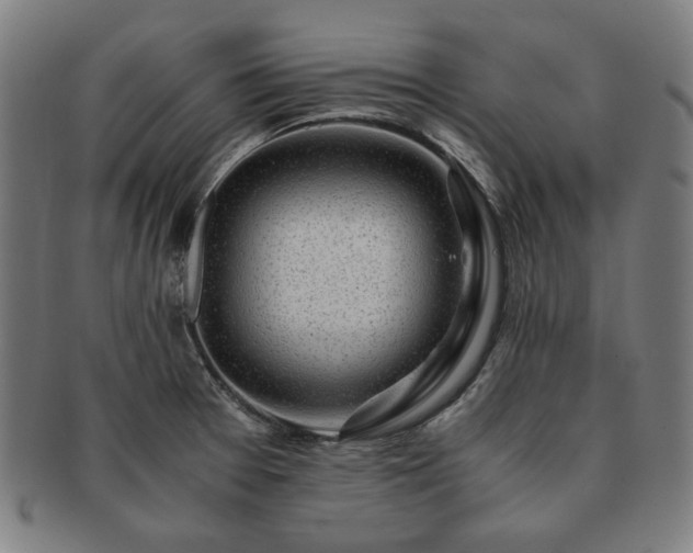 X0000091451377200708231246