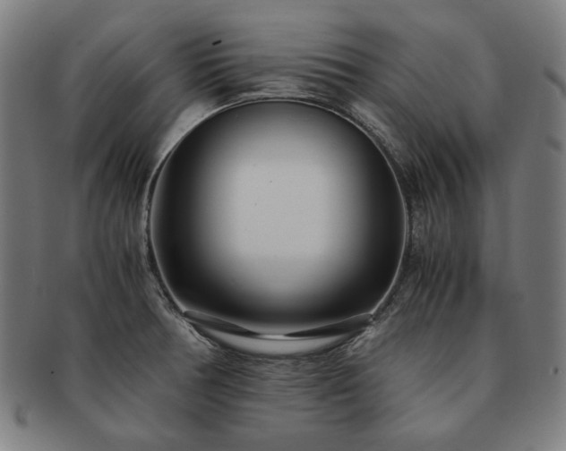 X0000091451378200708231246
