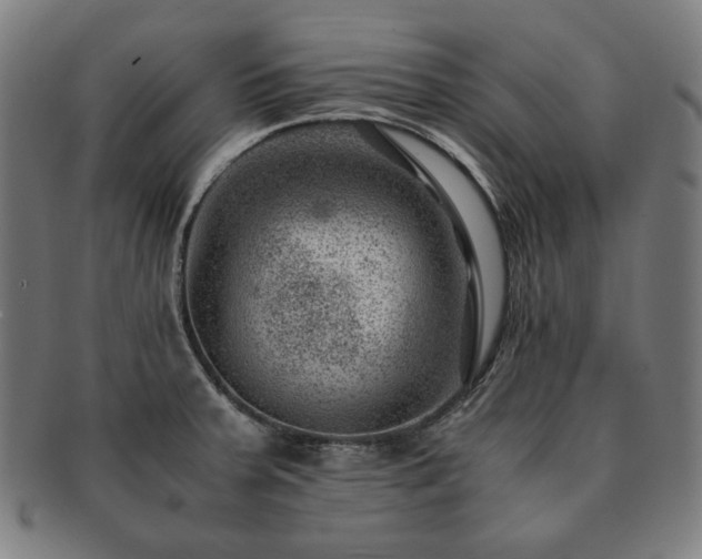 X0000091451379200708231246