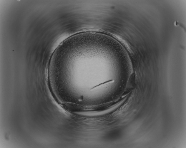 X0000091451383200708231246