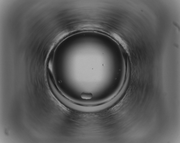 X0000091451384200708231246