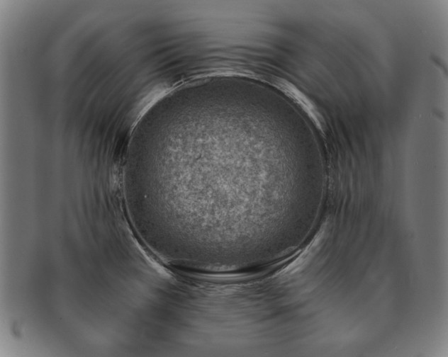 X0000091451385200708231246