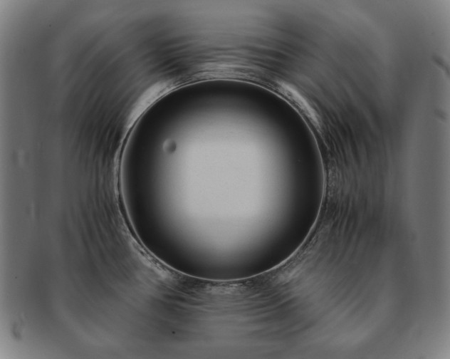X0000091451386200708231246
