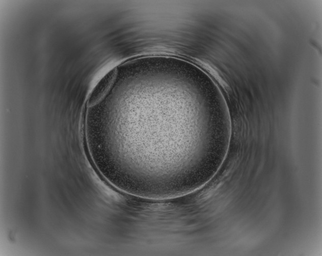 X0000091451387200708231246