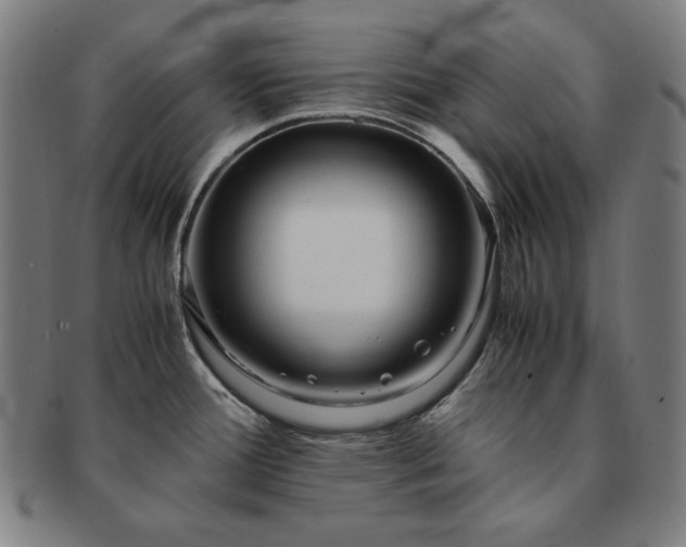 X0000091451388200708231246