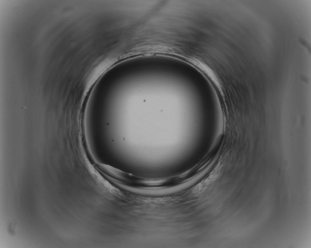 X0000091451389200708231245