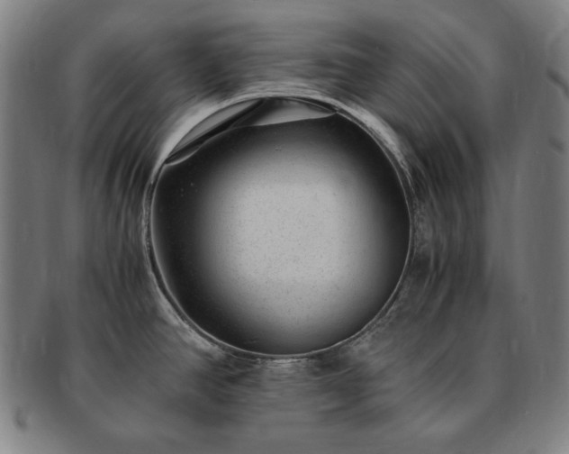 X0000091451390200708231245