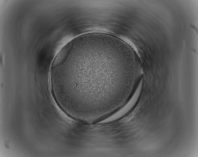 X0000091451391200708231245