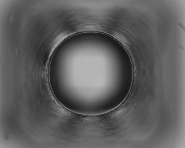 X0000091451392200708231245