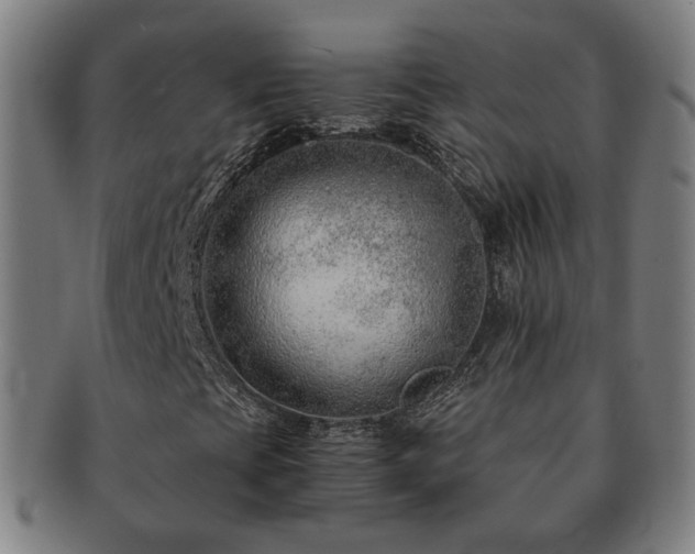 X0000091451393200708231245