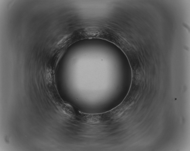 X0000091451394200708231245