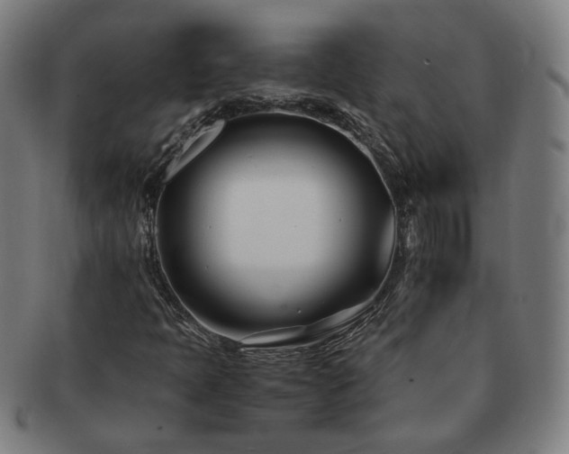X0000091451397200708231245