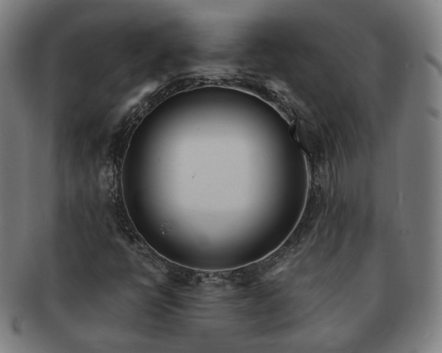 X0000091451398200708231245