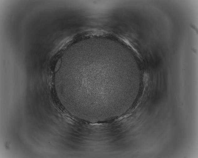 X0000091451399200708231245