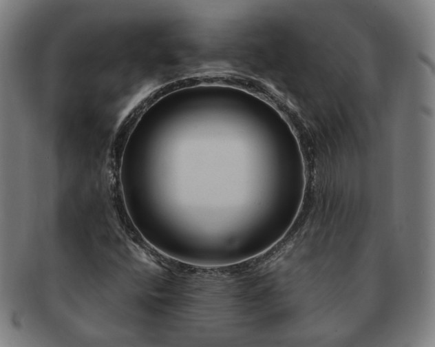 X0000091451400200708231245