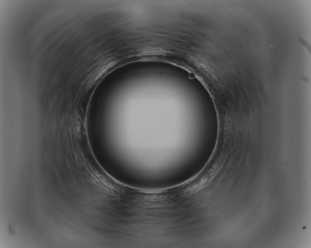 X0000091451401200708231245