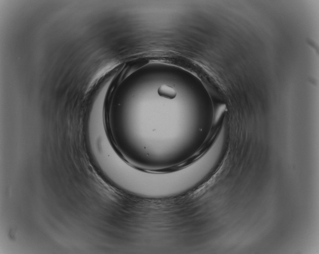 X0000091451402200708231245