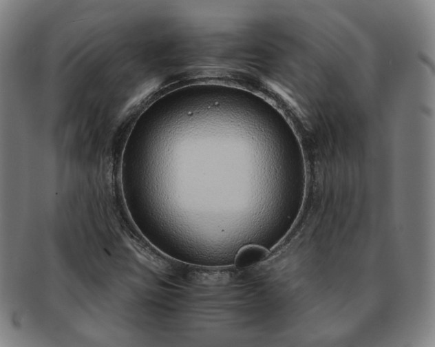 X0000091451403200708231245