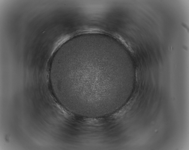 X0000091451405200708231245
