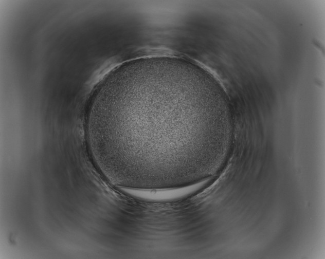 X0000091451407200708231245