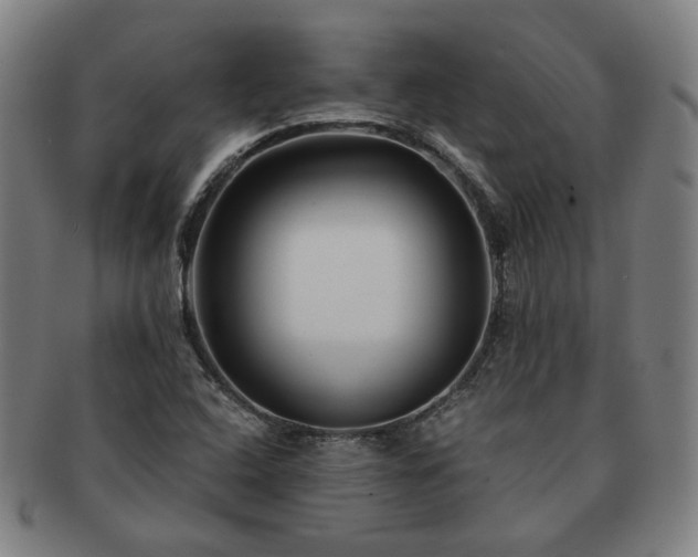 X0000091451408200708231245