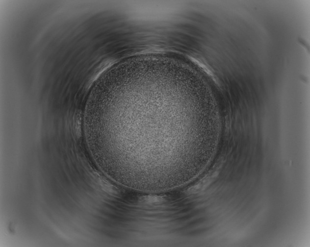 X0000091451409200708231245