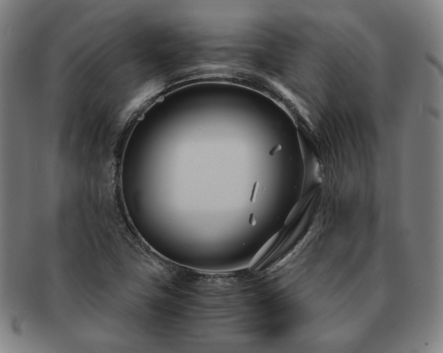 X0000091451411200708231245