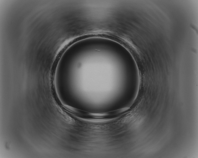 X0000091451412200708231245