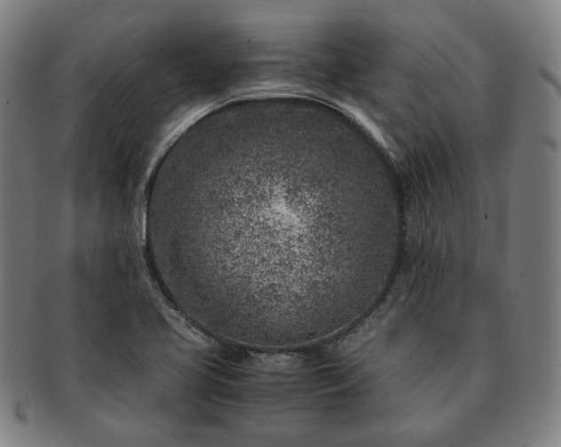 X0000091451413200708231245