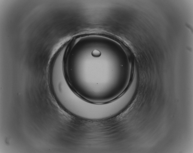 X0000091451414200708231245