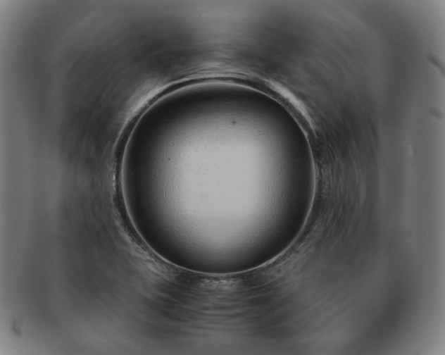 X0000091451415200708231245