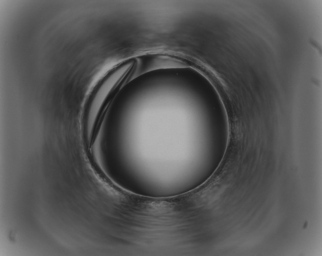 X0000091451416200708231245
