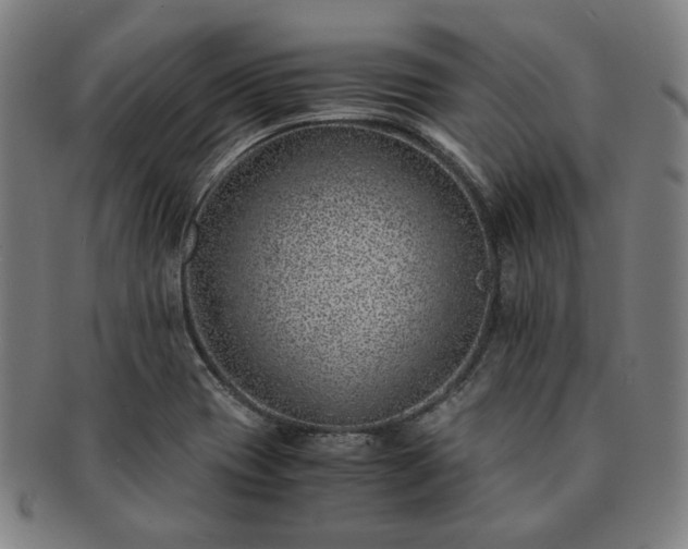 X0000091451417200708231245