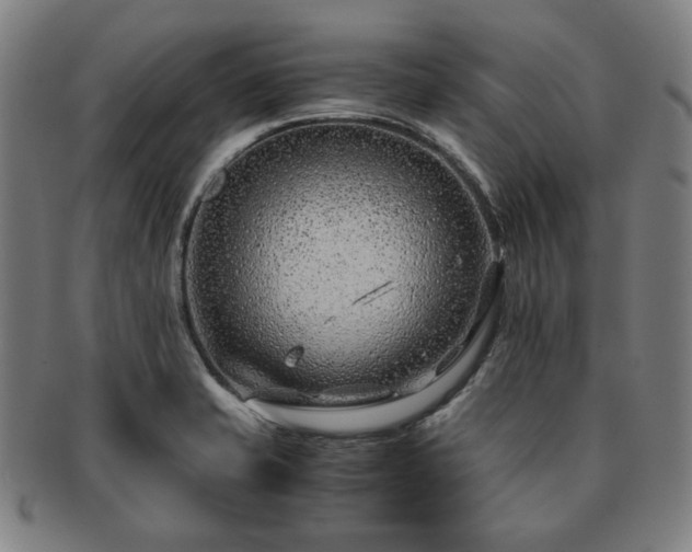 X0000091451421200708231245