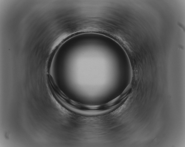 X0000091451422200708231245