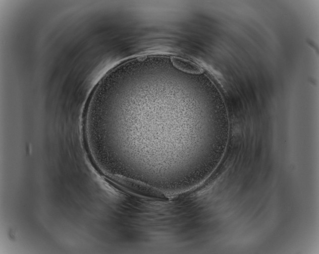 X0000091451423200708231245
