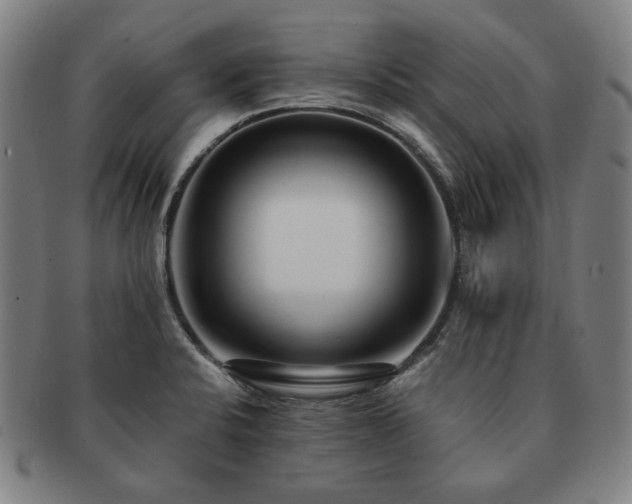 X0000091451424200708231245