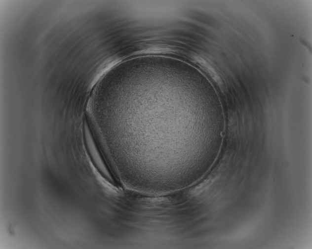 X0000091451425200708231245