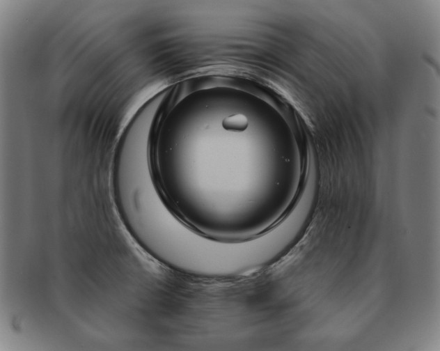 X0000091451426200708231245