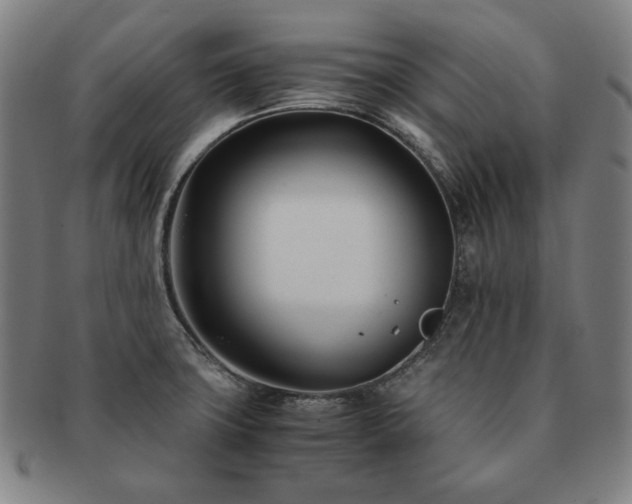 X0000091451427200708231245
