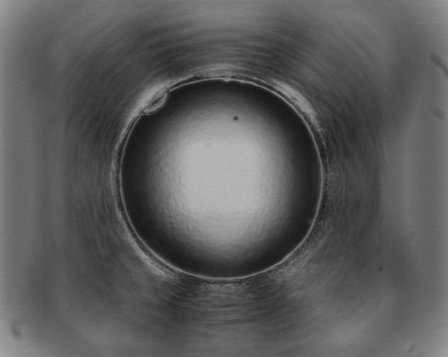 X0000091451429200708231245