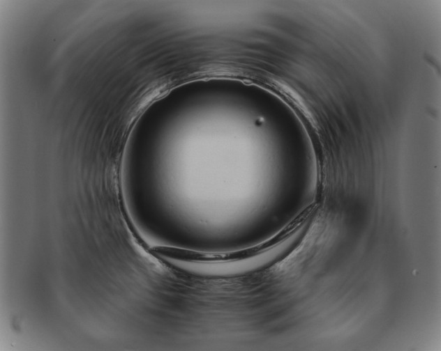X0000091451433200708231245