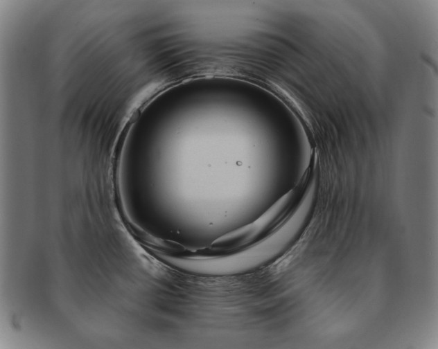 X0000091451434200708231245
