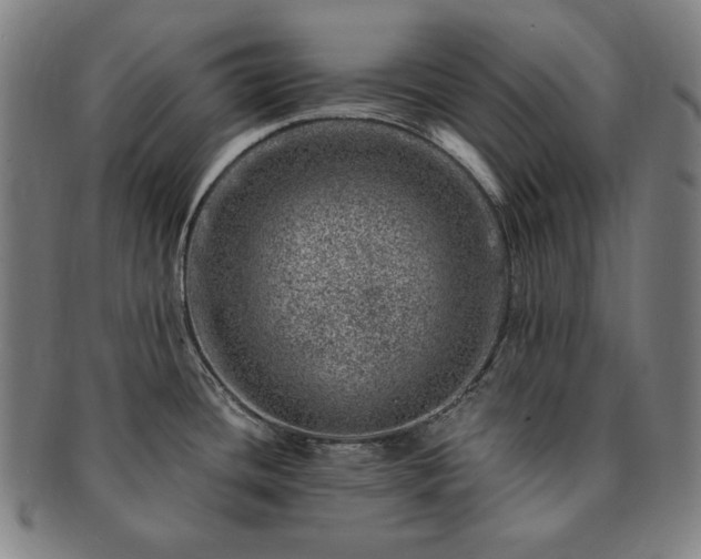 X0000091451436200708231245