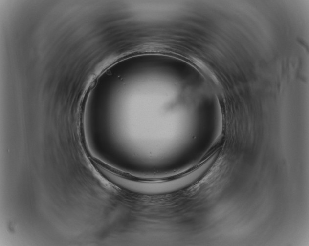 X0000091451437200708231245