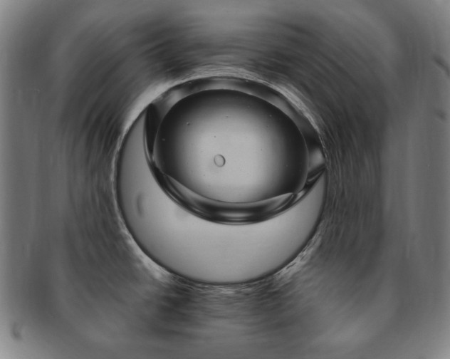 X0000091451438200708231245