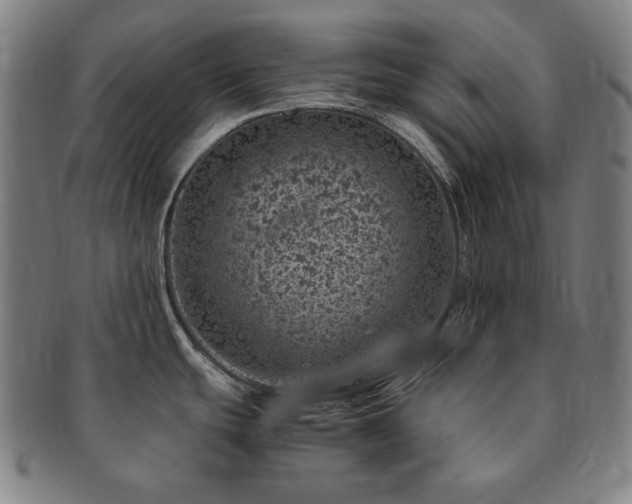 X0000091451439200708231245