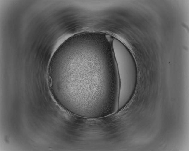 X0000091451440200708231245